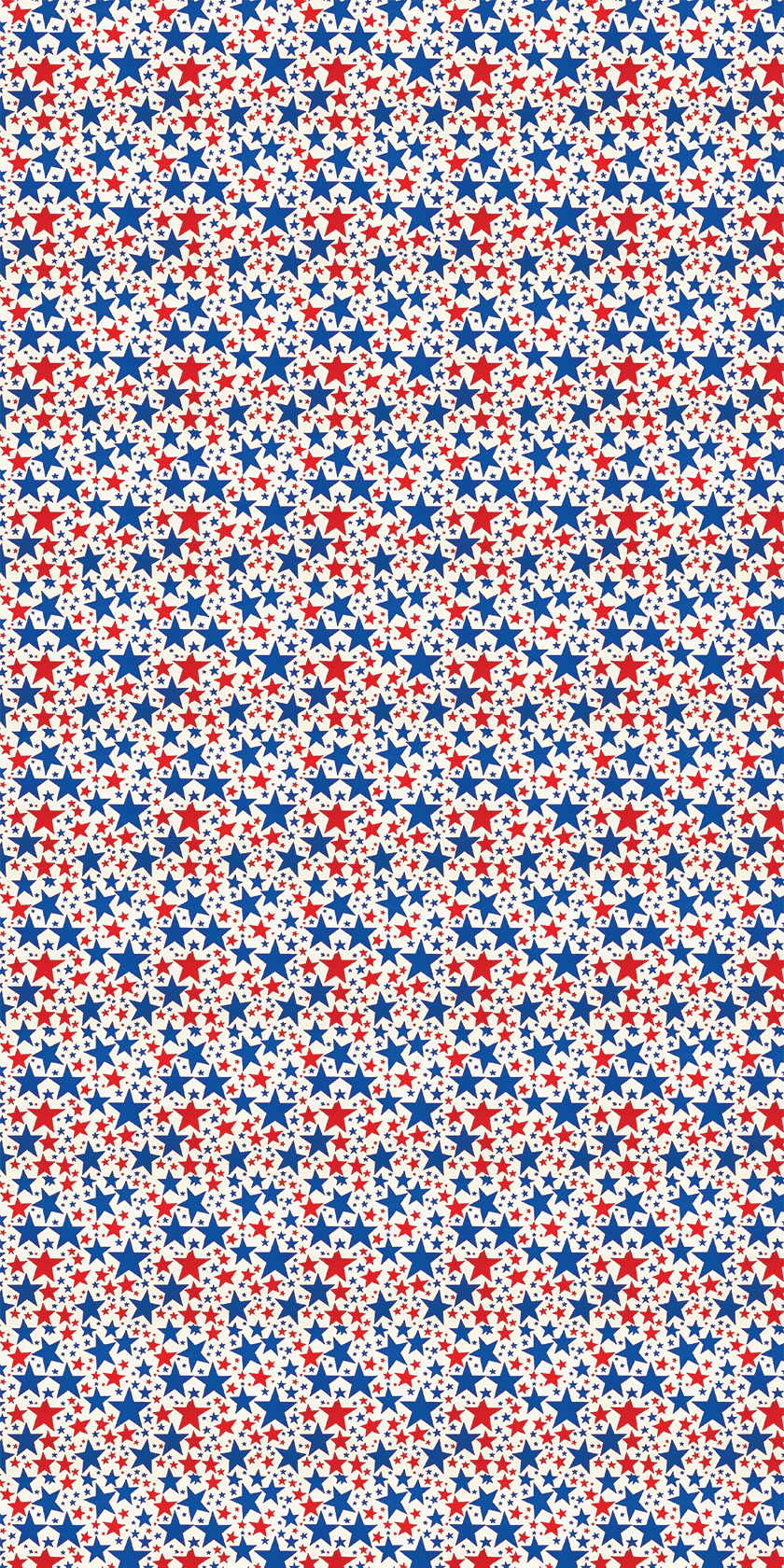 America Design 11 - 12" x 24" Sheet