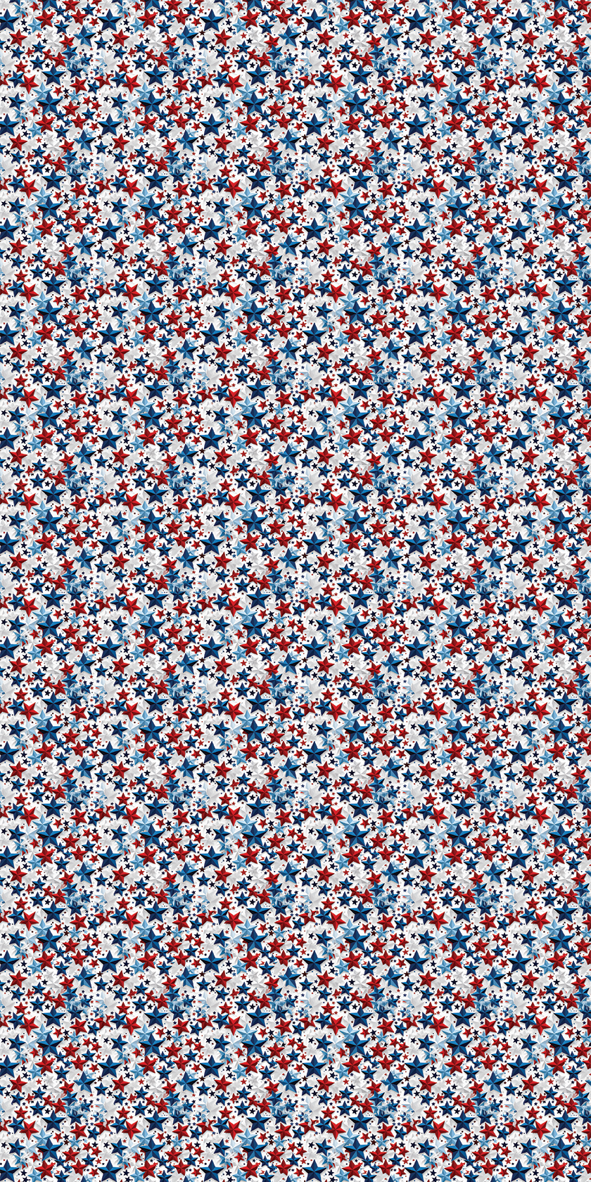America Design 13 - 12" x 24" Sheet