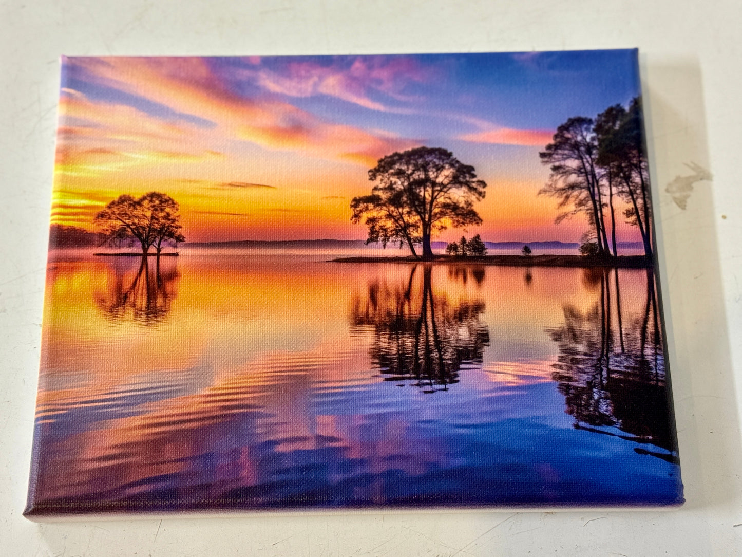 Custom Printed Canvases