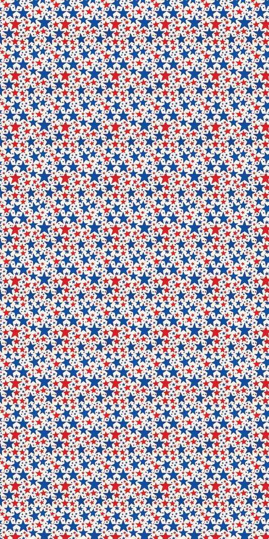 America Design 11 - 12" x 24" Sheet