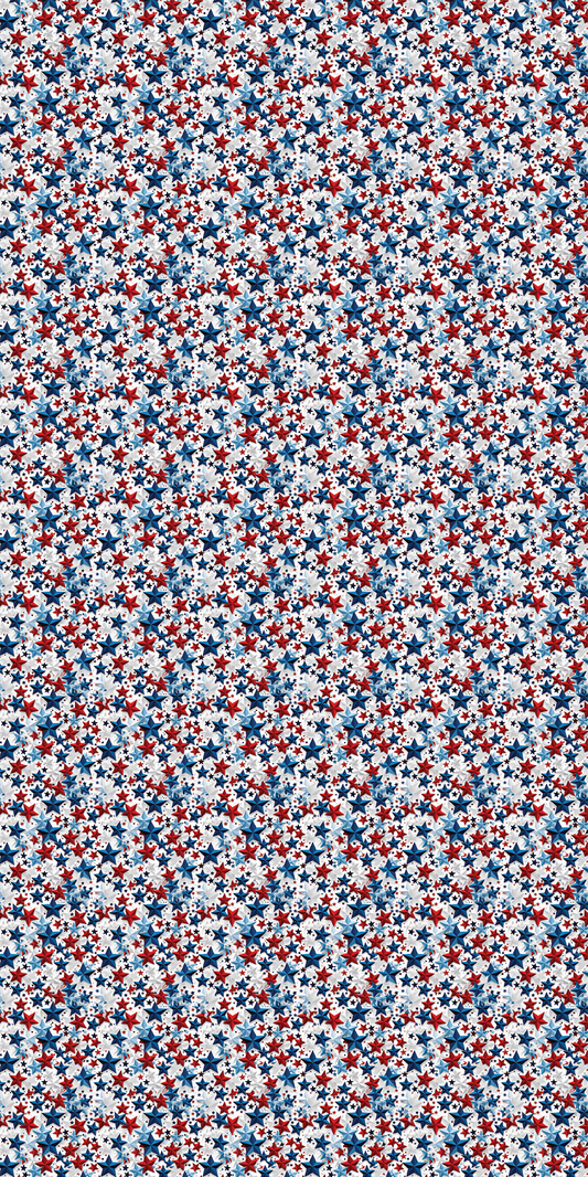 America Design 13 - 12" x 24" Sheet