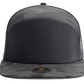 COBRA Blank