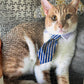 Custom Printed Jigsaw Puzzles