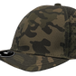 APACHE Blank