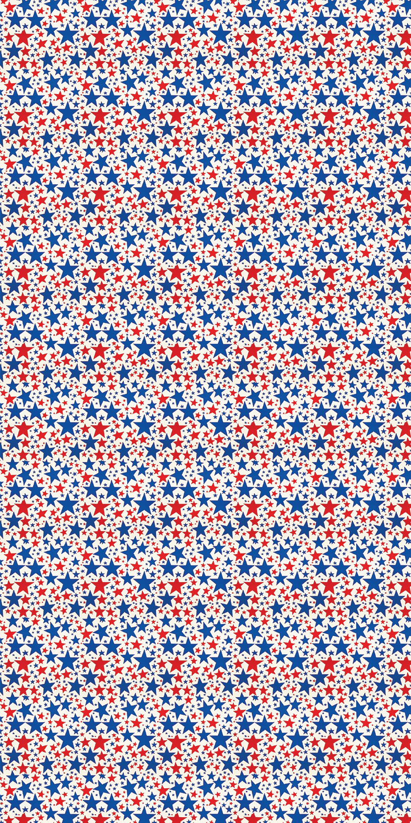 America Design 11 - 12" x 24" Sheet - Soda City Hat Co