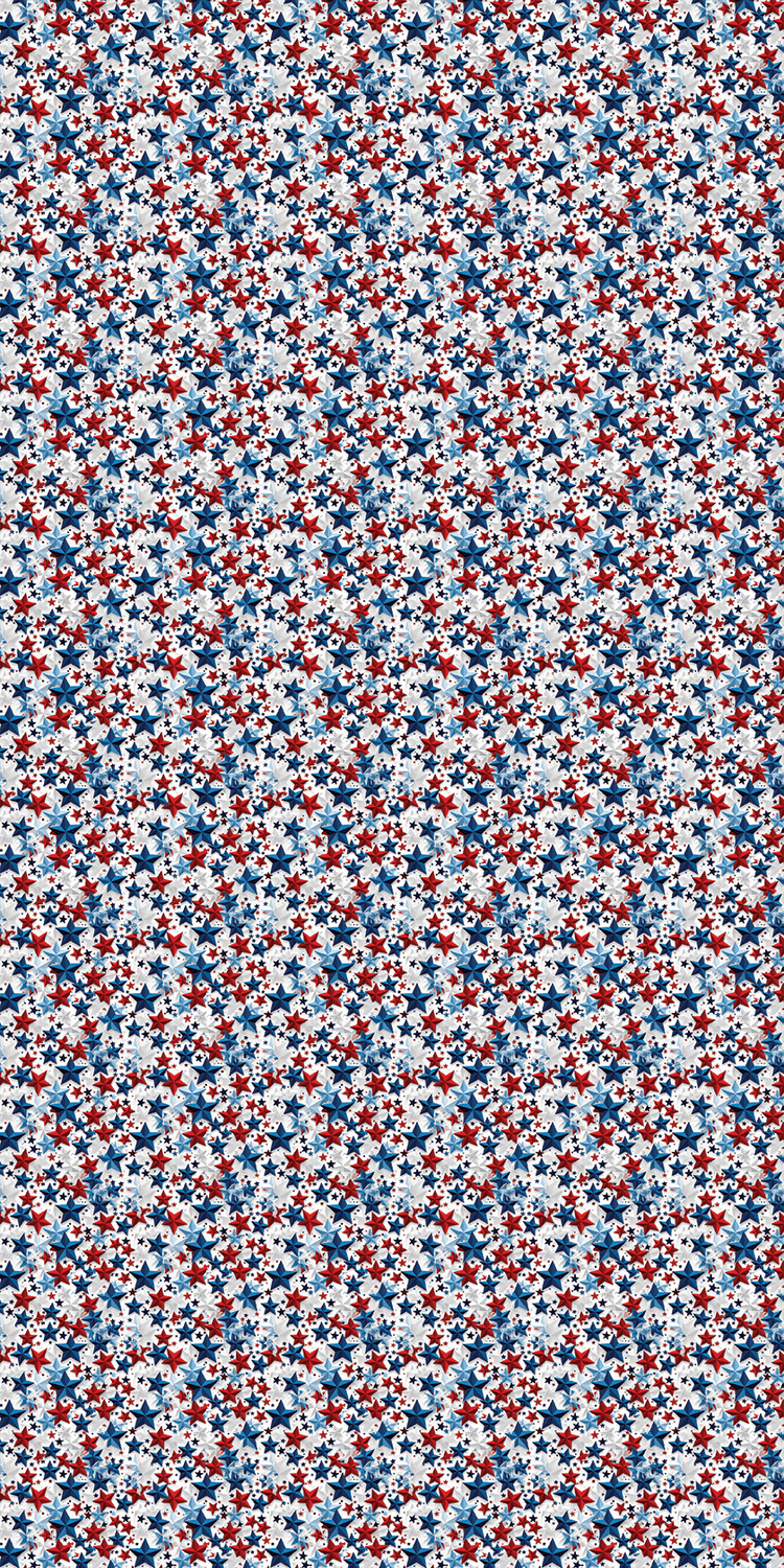 America Design 13 - 12" x 24" Sheet textured material pattern