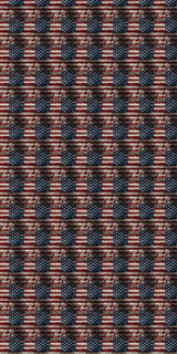 America Design 2 - 12" x 24" Sheet - Soda City Hat Co