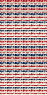 America Design 9 - 12" x 24" Sheet - Soda City Hat Co